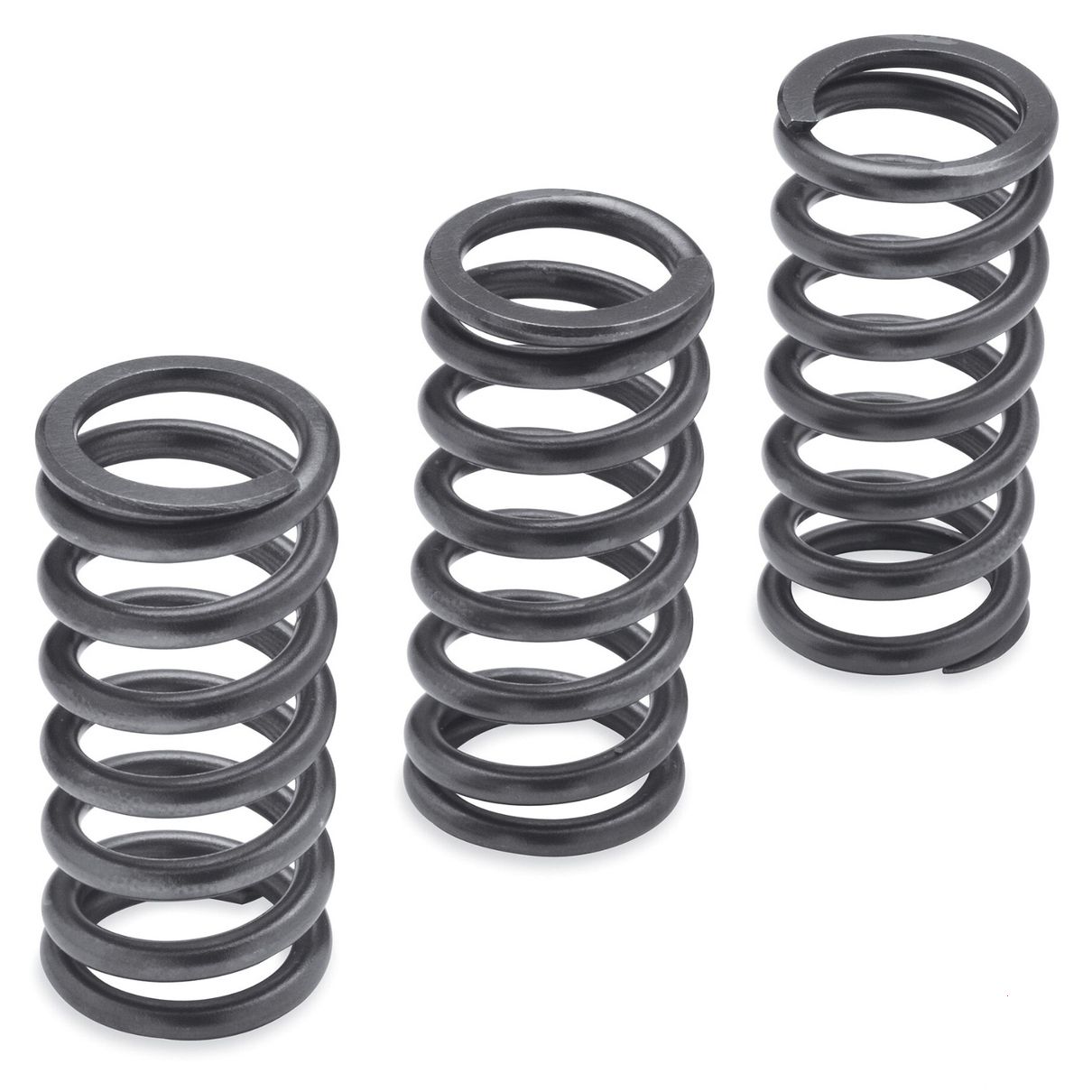 Milwaukee-Eight Engine Clutch Springs - 1275N