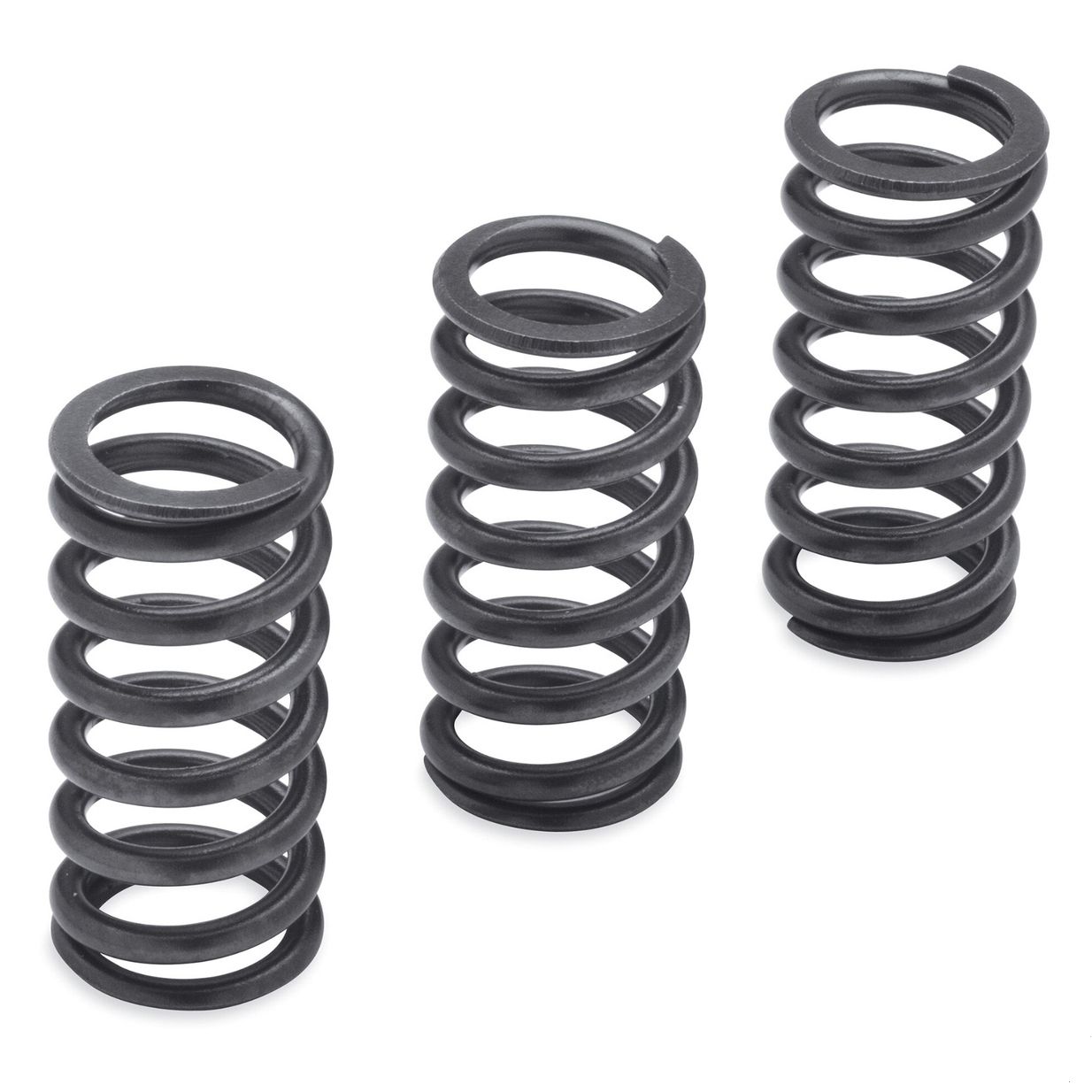 Milwaukee-Eight Engine Clutch Springs - 1200N
