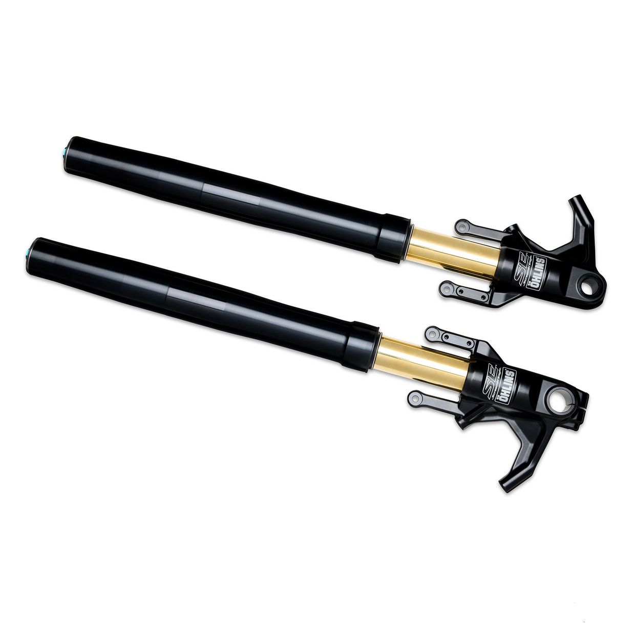 Screamin� Eagle / �hlins Inverted Fork Legs