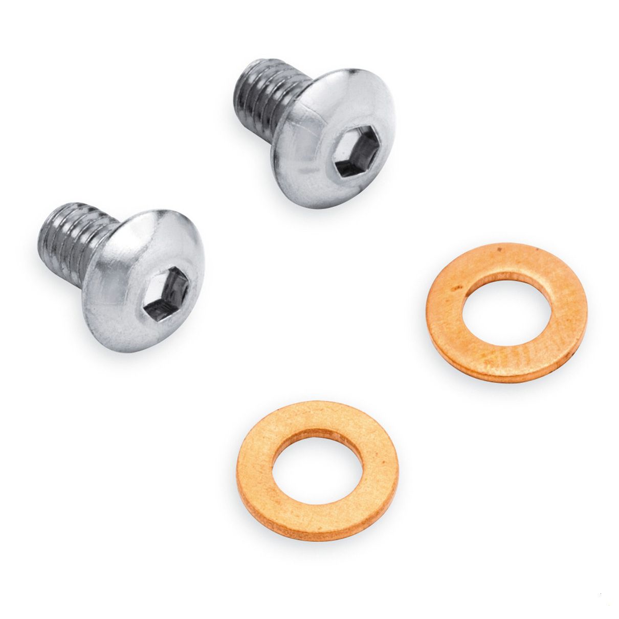 Chrome Fork Slider Drain Screw Kit
