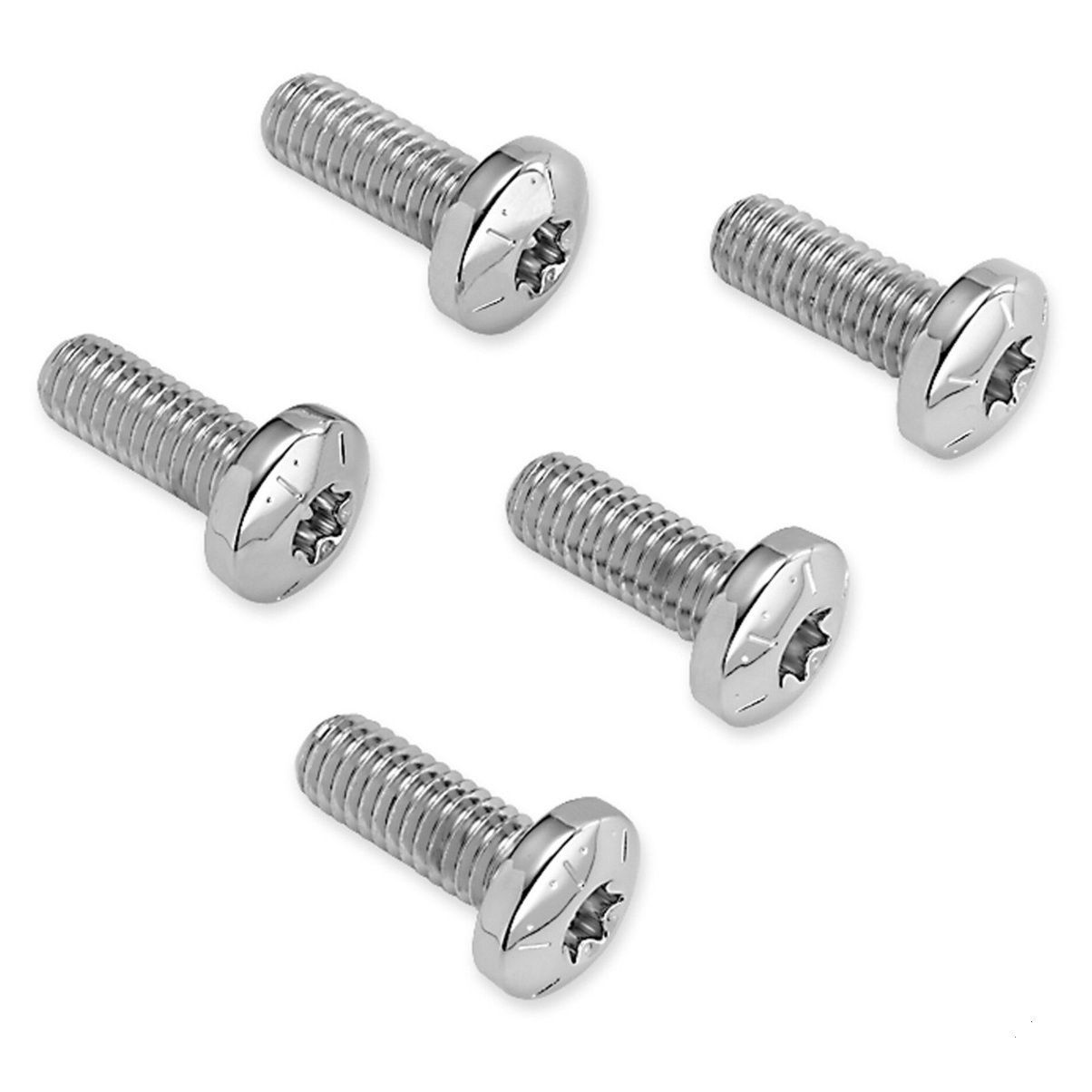 Chrome Rear Brake Disc Hardware Kit